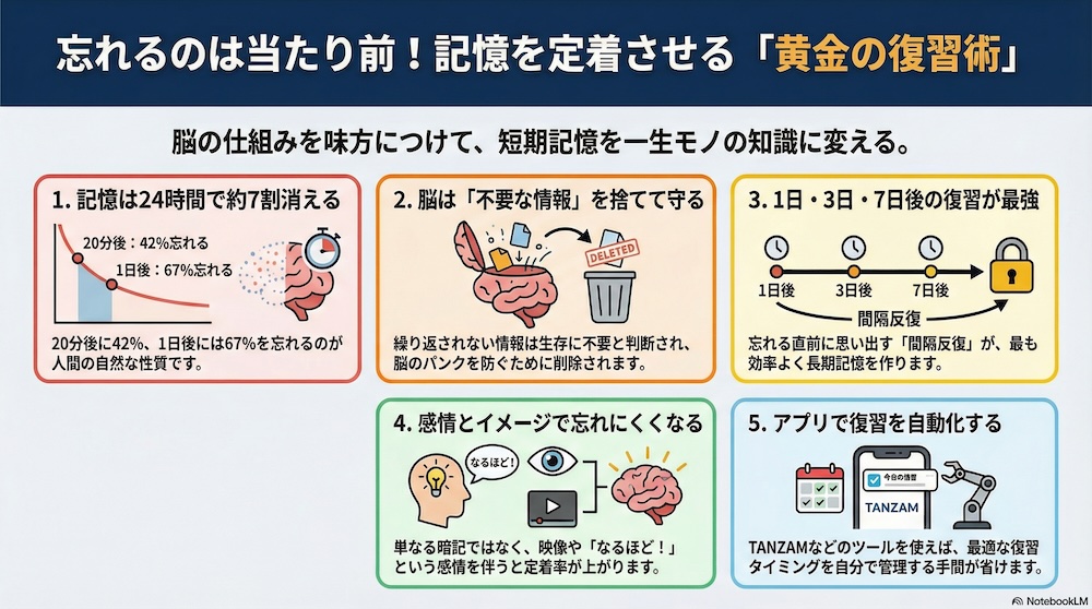 忘却曲線を活用した学習方法　インフォグラフィック