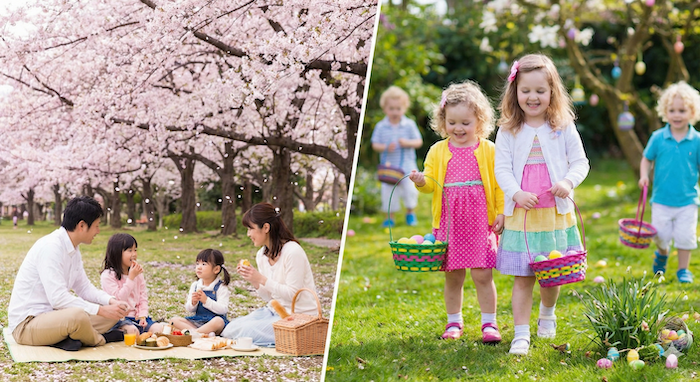 Hanami picnic vs. Easter egg hunt / お花見とイースターエッグハント