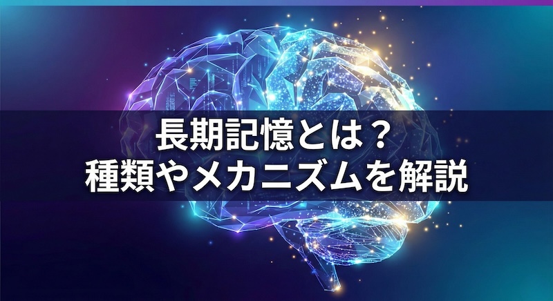 長期記憶とは？サムネイル