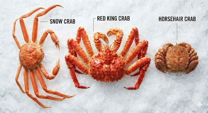 カニの種類比較、ズワイ・タラバ・毛ガニ (Crab types comparison, Snow/King/Horsehair)