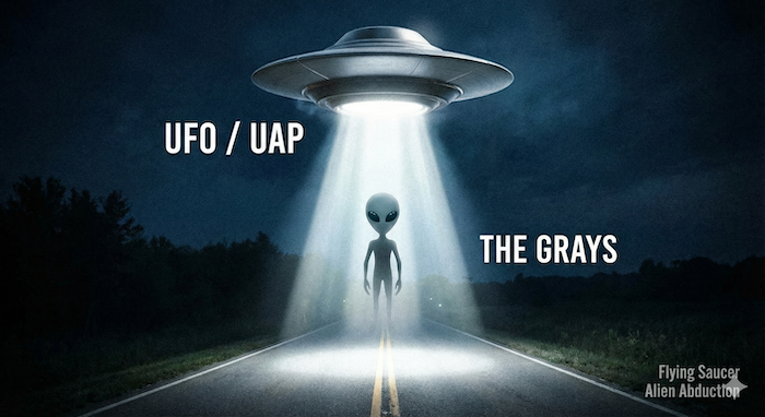 UFOがグレイエイリアンを照らす。