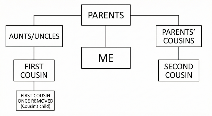 Simple family tree diagram showing extended cousin relationships. (広義のいとこ関係を示す簡易家系図)
