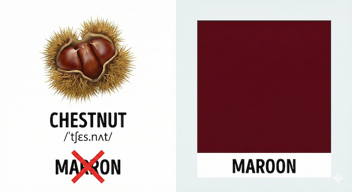 栗(Chestnut)と色(Maroon)の比較イラスト。 / Chestnut vs. Maroon comparison illustration.