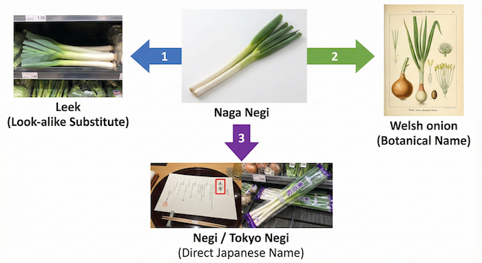 日本の長ネギの英語表現図