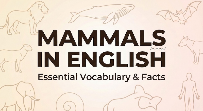 哺乳類の英単語 サムネイル