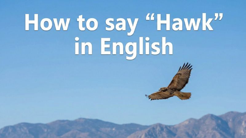「鷹」は英語で?サムネイル