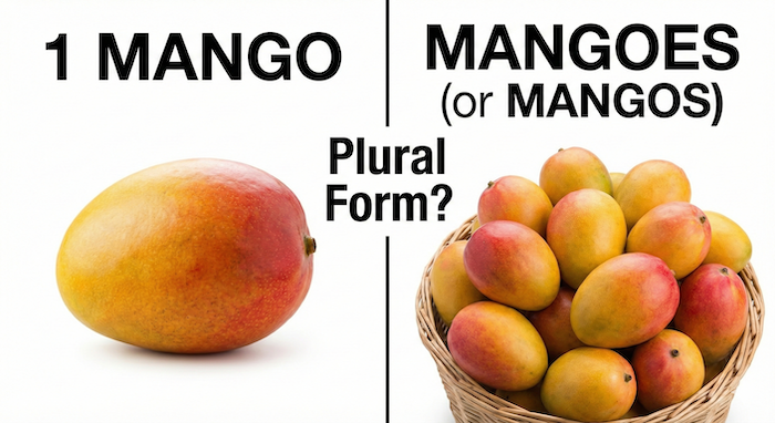 Singular and plural mango comparison. (マンゴーの単数と複数の比較)