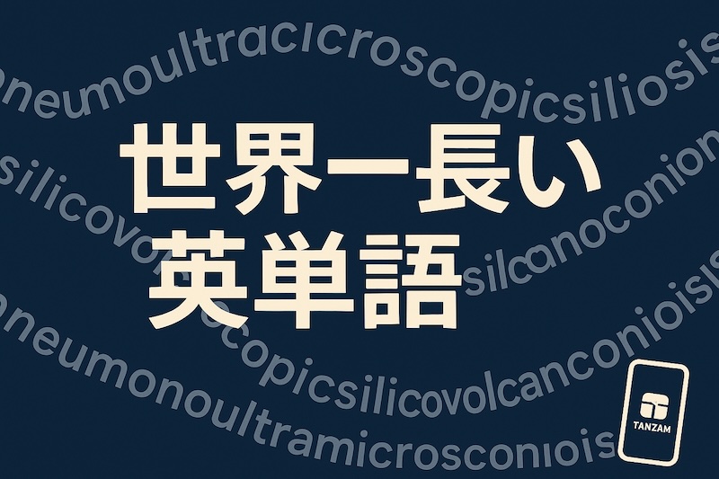 世界一長い 英単語 サムネイル