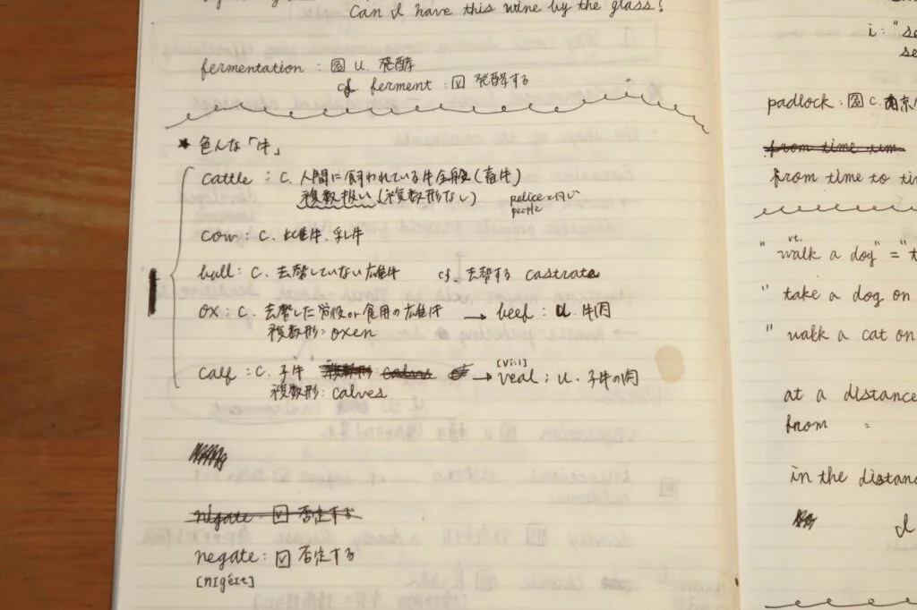 英単語ノートに間違えた理由と関連語を書いた例