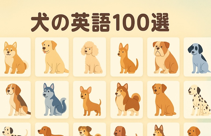 犬の英語100選 サムネイル