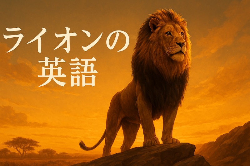 ライオンの英語 サムネイル
