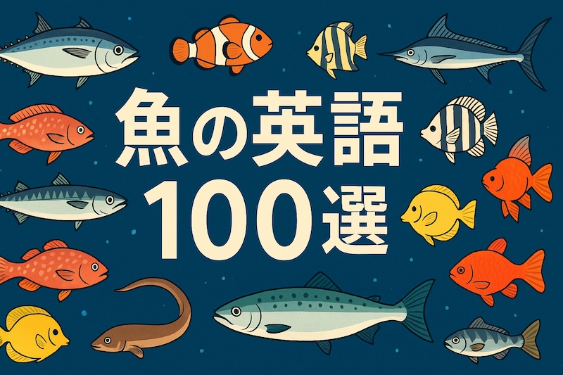 魚の英語 100選