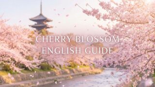 英語の「桜と花見」ガイド｜しだれ桜や八重桜の呼び方も紹介 | 英単語
