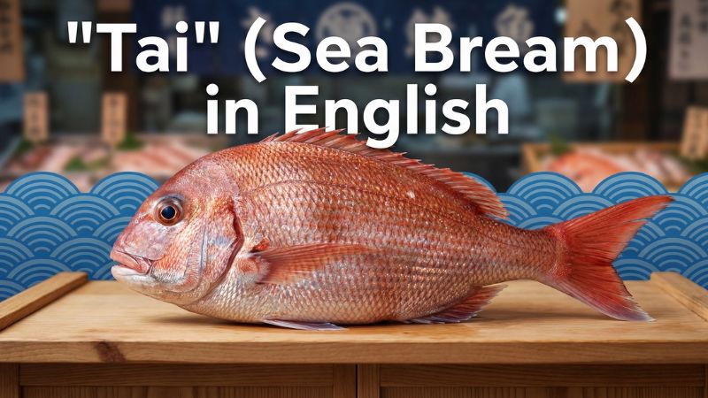「鯛」の英語　サムネイル