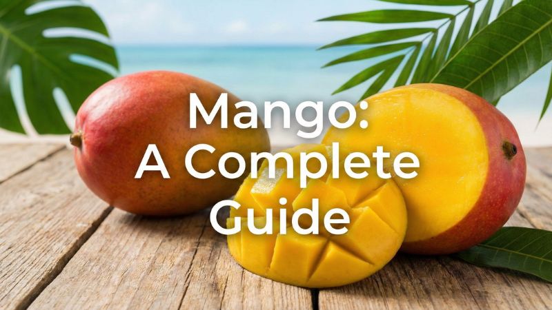 マンゴー 英語 サムネイル